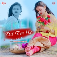 Dil tor ke - Single - Sameer Raj & Ajay Arya