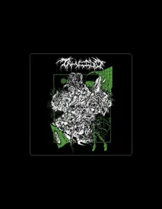 Listen to Trucido, watch music videos, read bio, see tour dates & more!