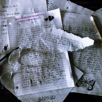 In Case You're Wondering, I Hope You're Okay