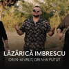 Ori n-ai vrut ori n-ai putut - Lazarica Imbrescu