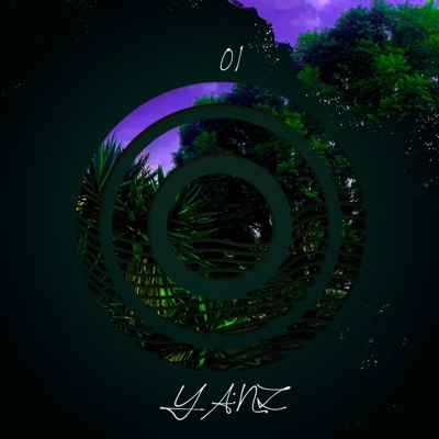 Introduction - Single