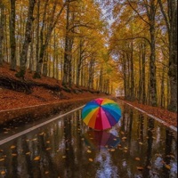 Someday My Prince Will Come - Single - Claudio Filippini