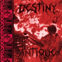 Destiny - Single - ANTQUE