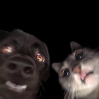 #IGOTTHEWORK - Single - killdavyn & Skyte