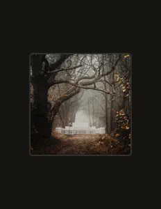 Damarin을(를) 듣고, 뮤직 비디오를 보고, 약력을 읽고, 투어 일정 등을 확인하세요!