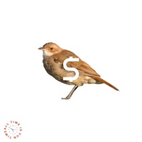 PE$0S - Single - Lily Amadama