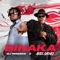Binaka (feat. Ariel Sheney) - Dj Moasco lyrics