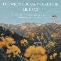 It's Not Like It Would've Worked Out Anyway - Single - For When You Can't Breathe & Lil Used