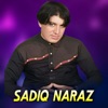 Sadiq Naraz