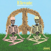 Elevate - Single - Ocean Roulette & L I L' G