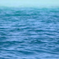 Deep Blue - Single - Tryptamind