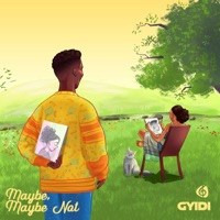 Maybe, Maybe Not - Single - Gyidi