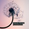 Pusteblume (Le Rock & Roxs Remix) - Jaques Raupé lyrics
