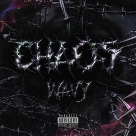 Startup Wavy & Alone
