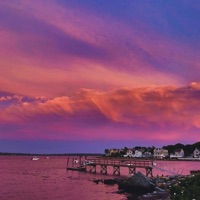 Without You in It - Single - Dutch Island