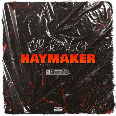 Haymaker - EP