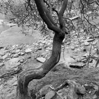 Wash It All Away (feat. Michah Dalton) - Single - The Byrd Project