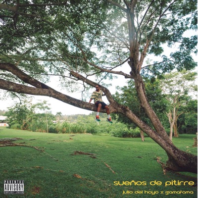 Sueños de Pitirre - Single