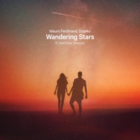 Wandering Stars (feat. Matthew Steeper) - Single - Mauro Ferdinand & Dzasko