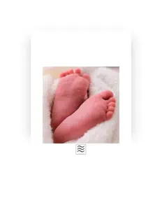 Listen to Ambientaly, watch music videos, read bio, see tour dates & more!