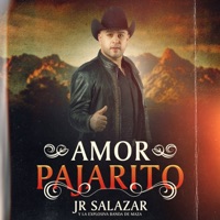 Amor Pajarito - Single - Jr Salazar & La Explosiva Banda de Maza
