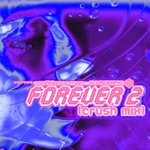 Forever 2 (Crush Mix Edit) artwork