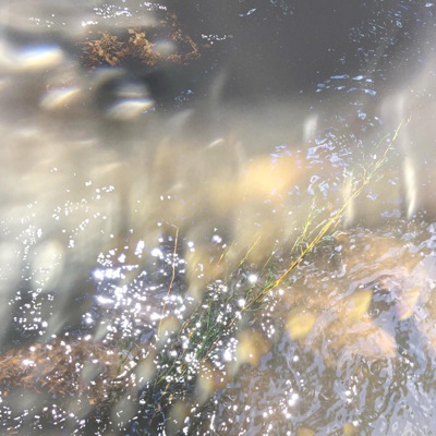 po kapsach lezi dest - Single