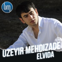 Elvida - Single - Uzeyir Mehdizade