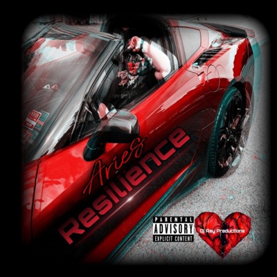 Aries Resilience