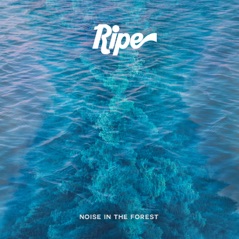 Noise in the Forest - Single