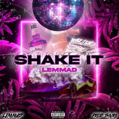 Shake It - Single