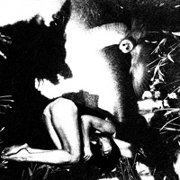 Wolves Dance - Single - Kaneda7