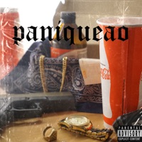 Paniqueao - Single - Jibaro 13