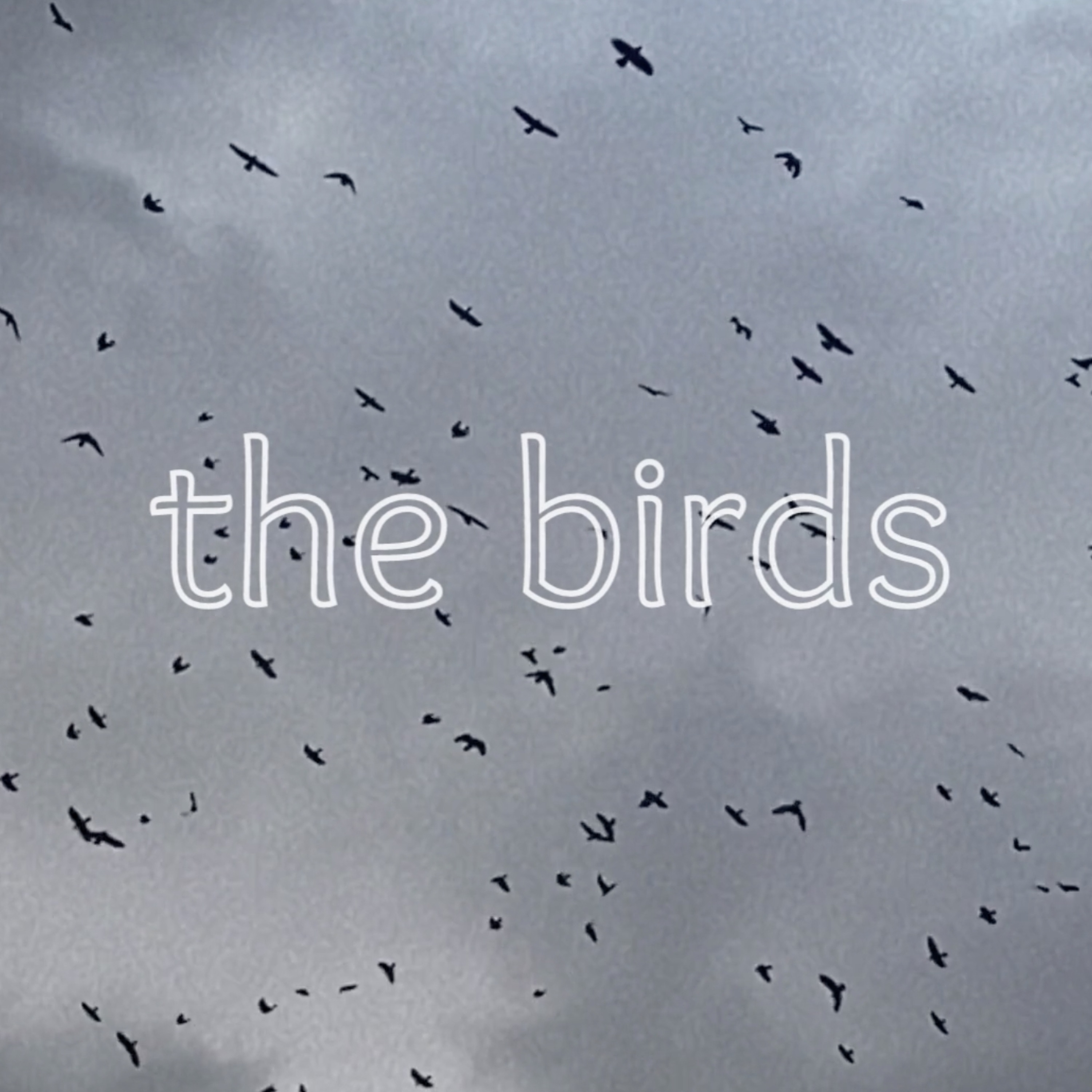 the birds - Single