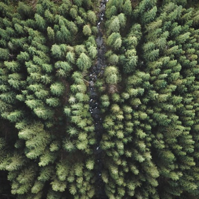 Black Bear Music - Under Heaven, Above the Earth