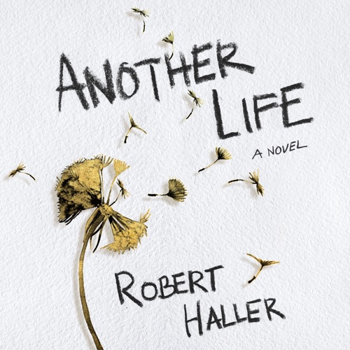Another Life: A Novel cover