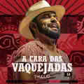 Casca de Bala