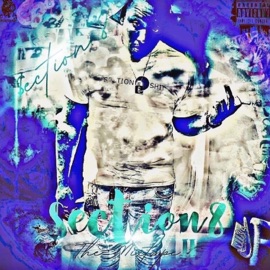 Life (feat. Reginelli of the Gambino & Young Faeva) $ection.8