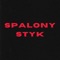 Spalony styk - ADEK WWA lyrics