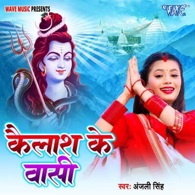 Kailash Ke Vashi - Single