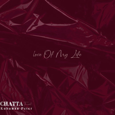 Love of My Life (feat. kabanza peter) - Single