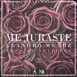 Me Juraste (feat. Leandro Muñoz) NoiseBoy
