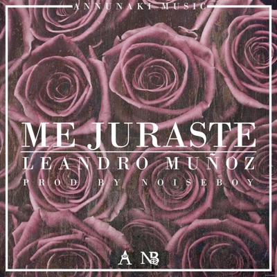 Me Juraste (feat. Leandro Muñoz) - Single