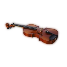 Скрипка StoneAss