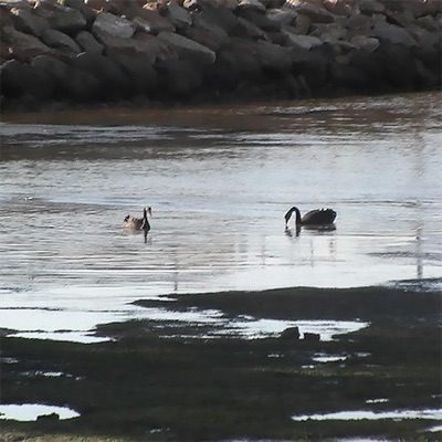 Let Time Pass - Single