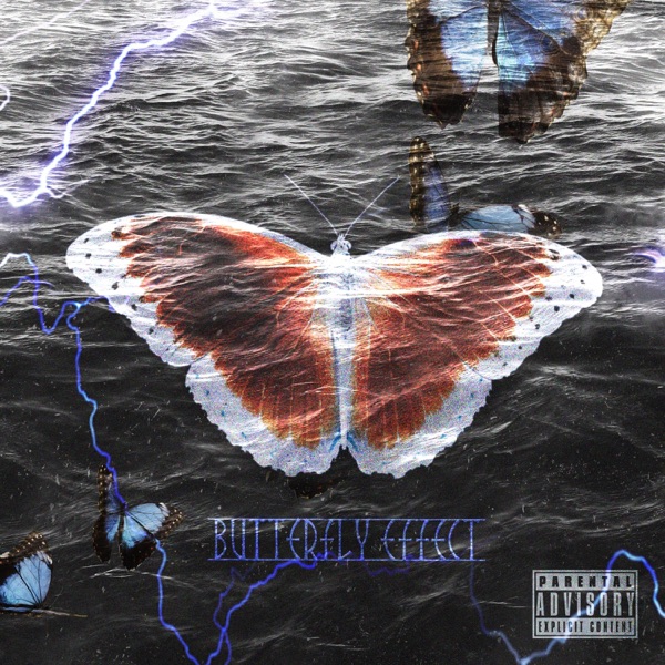 Butterfly effect