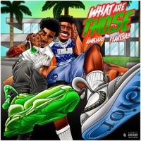 What Are Those (feat. 1TakeJay) - Single - Ambjaay