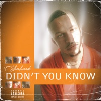 Didn't You Know - Single - T. Shaheed
