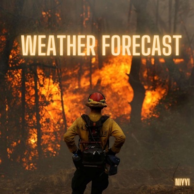 Weather Forecast - Single