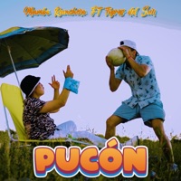Pucón (feat. Tigres del Sur) - Single - Mambo Ranchero